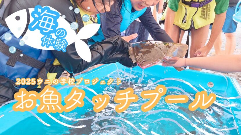 【イベント案内】お魚タッチプール開催のご案内(2025.8.2)